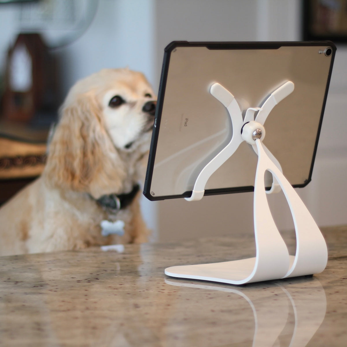 White tablet stand on a table with a dog in the background