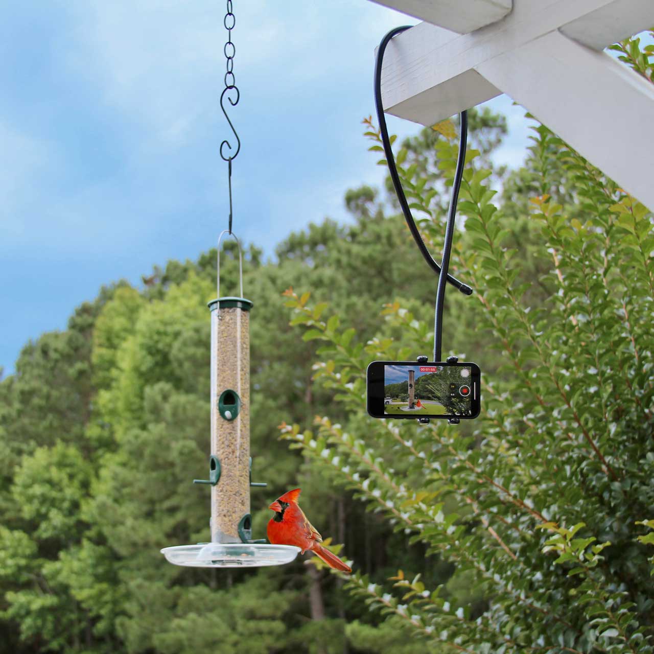 iPhone Flexible Holder Stand - PED5-COIL